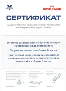 Диплом ветеринарного врача